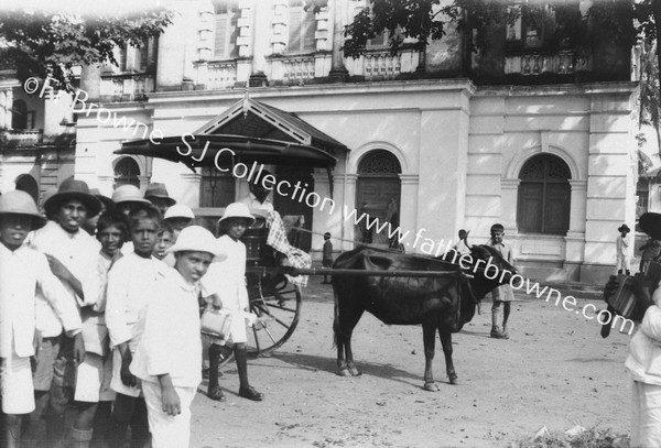 OX-DRAWN CARRIAGE IN CITY